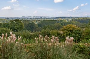 Photo 15- click for photo gallery